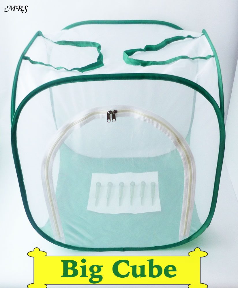Vigcebit Pop-Up Butterfly Habitat Cage - 6.3 X 7.9 Inch Mesh Enclosure For Caterpillars & Butterflies