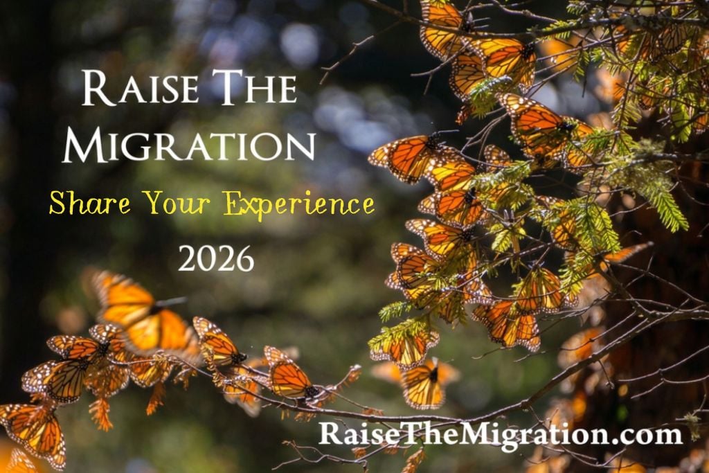 Raise the Migration 2026 Results + Share Your Experience and lessons learned raising monarchs for next season.