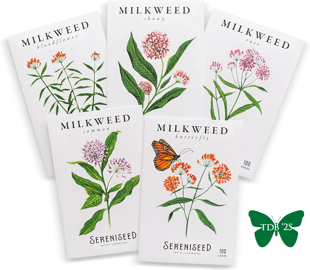 5 Pack of Milkweed Seeds- Garden Gift Idea