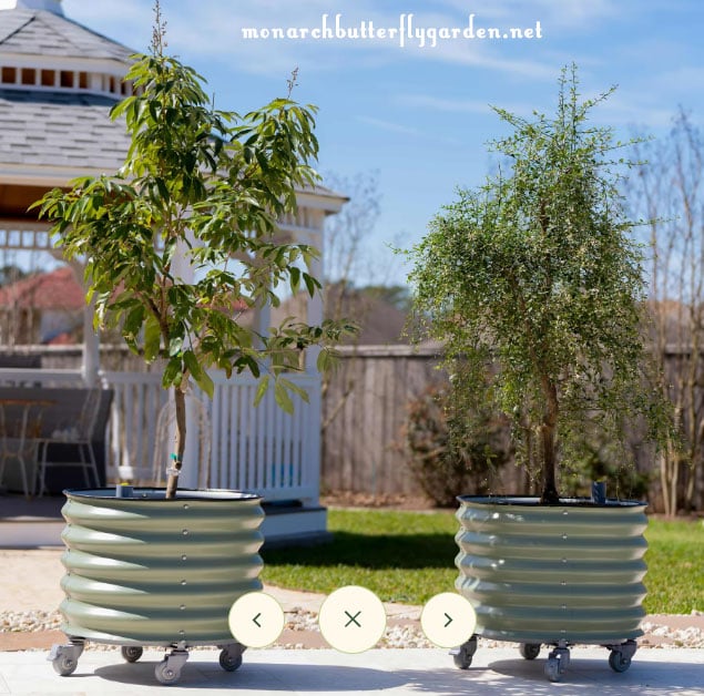 Portable Container Plant and Tree Containers for Pollinators