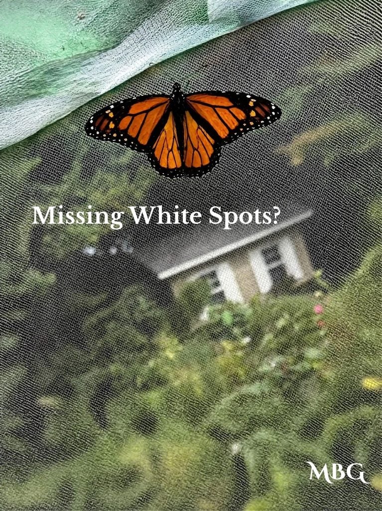 2026 Monarch Migration Memory: 