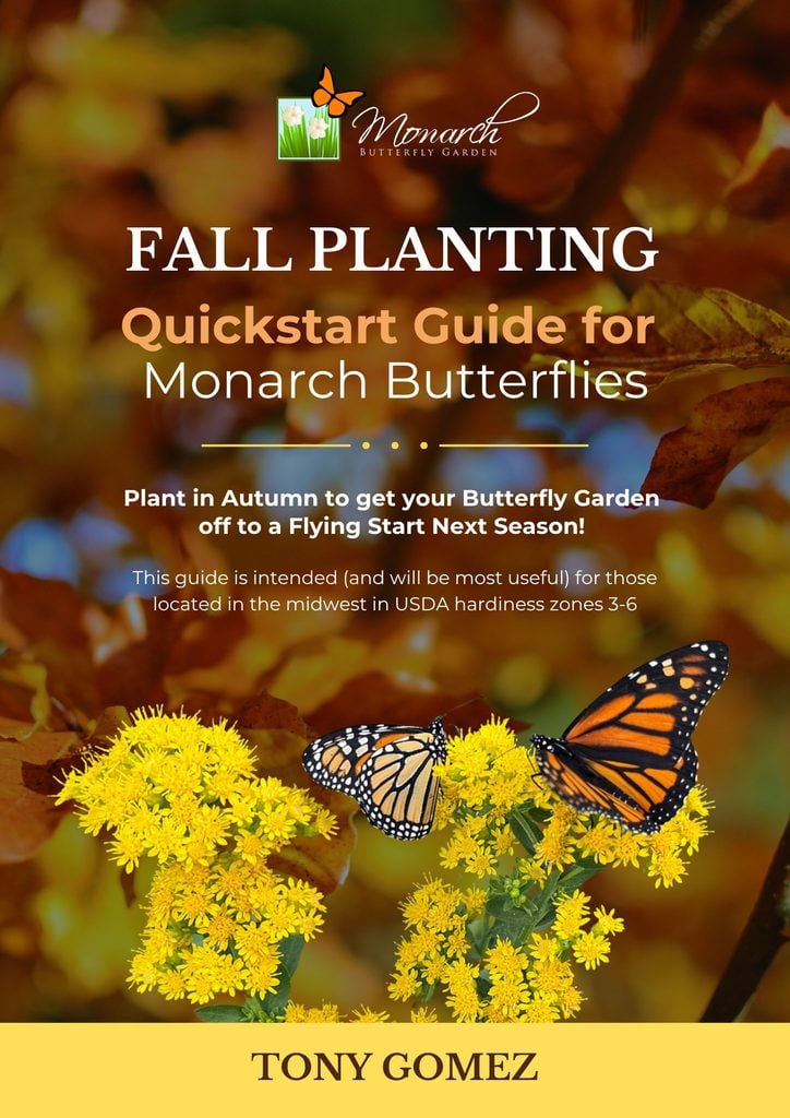 fall planting quickstart guide for monarchs- PDF download for midwest gardeners